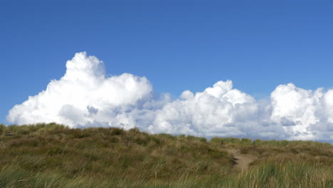 Peaceful-landscape-with-dunes,-beach-vegetation,-cumulus-clouds-in-blue-sky