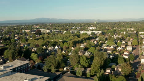 Aerial-shot-over-green-wealthy-American-Suburb