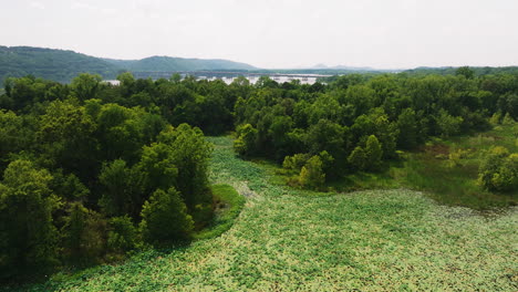 Wetland-Swamp-In-Cook's-Landing-Park,-Little-Rock,-Arkansas,-USA---aerial-shot