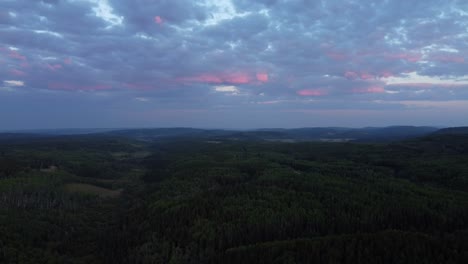 Flying-over-green-forest-during-golden-hour-with-pink-clouds-on-background-in-summertime