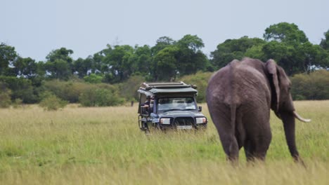 Slow-Motion-Shot-of-Elephant-walking-towards-jeep-on-adventure-safari,-close-up-view-of-African-Wildlife-in-Maasai-Mara-National-Reserve,-Kenya,-Africa-Safari-Animals-in-Masai-Mara-North-Conservancy