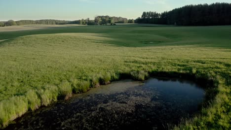 Grüne-Graswiese-Mit-Kleinem-Gewässer---Drohnenaufnahme-Aus-Ermland,-Polen