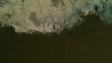Vista-De-Pájaro-De-Drones-Estática,-Ondas-De-Agua-Verde-Tóxica-Flotando-Por-Basura-Que-Se-Escurre-Del-Lago-De-Asfalto