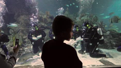 Divers-feeding-fish-in-a-public-aquarium,-with-visitors-viewing-from-outside