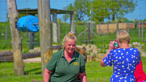 Tourists-visiting-a-zoo-in-the-UK-and-taking-part-in-feeding-the-bears