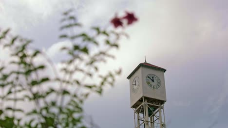 Bottom-up-shot-of-waving-flower-in-front-of-Clock-Tower-against-cloudy-sky-in-Monte-Cristi,-Dominican-Republic