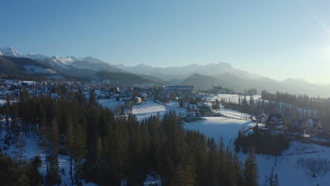Flüstern-Des-Winters:-Luftperspektive-Eines-Traditionellen-Dorfes-Inmitten-Von-Waldbäumen-Und-Schneebedeckten-Tatra-Bergen