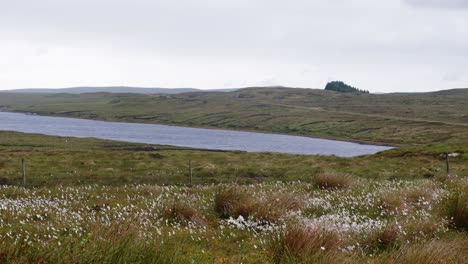 Shot-of-moorland-peat-banks-near-a-lake-on-the-Isle-of-Lewis,-Hebrides