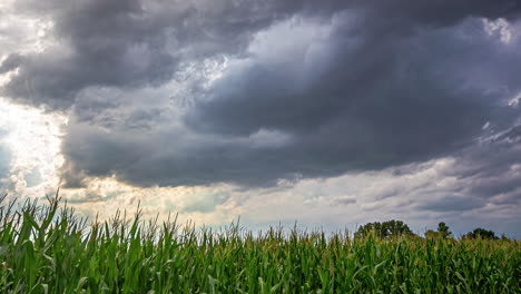 Grey-Clouds-Sweep-Across-the-Green-Landscape-in-a-Timelapse-in-Latvia