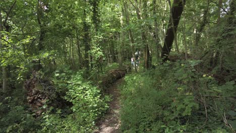 A-group-of-tourists-walk-through-an-ancient-forest-along-a-narrow-path