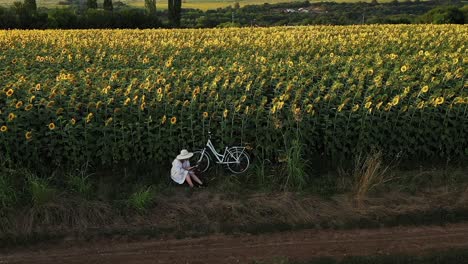 Mädchen-Im-Weißen-Kleid-Liest-Buch-Im-Sonnenblumenfeld,-Goldene-Stunde,-Drohnen-Push-Shot