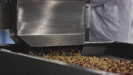 Close-up-scene,-peanut-conveyor-line-are-coming-from-the-machinery-which-is-being-heated-at-high-degree-celsius