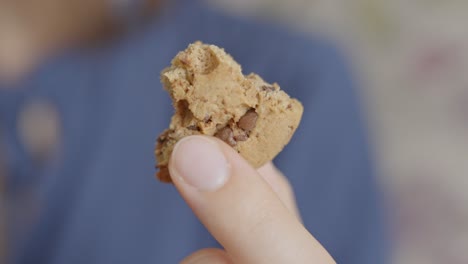 Hands-of-person-hold-piece-of-delicious-chocolate-cookie,-close-up-view