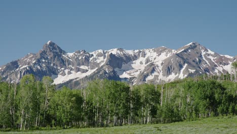 Snow-Capped-San-Juan-Mountains-Near-Telluride,-Colorado-With-Forest-Trees-In-Foreground-On-Clear-Day-With-Blue-Skies