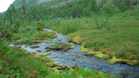 Stream-Flowing-On-Mountain-Hike-Trails-Near-Flakstad-To-Leikvika,-Norway