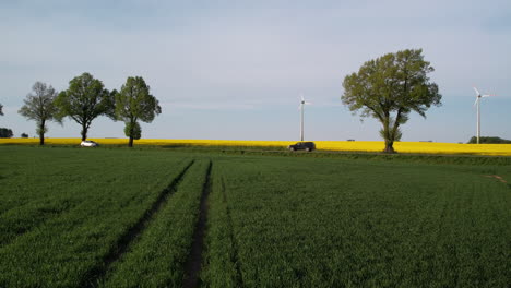 Aerial-over-lush-green-crops-toward-yellow-rapeseed-field-with-wind-turbines