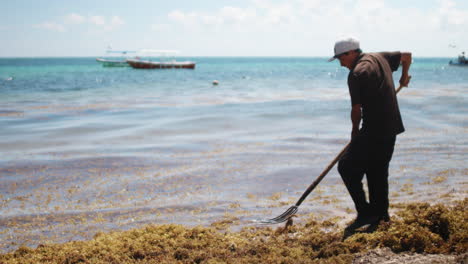 Hombre-Limpia-Sargazo-En-Una-Playa-De-México