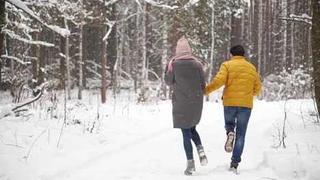 A-young-and-beautiful-couple-is-having-fun-in-the-park,-running-and-holding-hands.-Valentine's-Day-and-love-story-concept.-Winter-season.