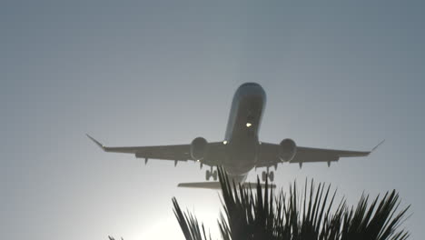 Bei-Der-Landung-Bei-Sonnenaufgang-Taucht-Ein-Flugzeug-Hinter-Palmen-Hervor