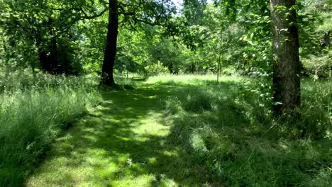 POV-Walking-Along-Cut-Grass-Garden-Path-In-Woodland-Landscape-With-Trees