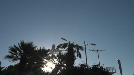 An-airplane-on-final-approach-with-trees-in-the-foreground-at-sunrise