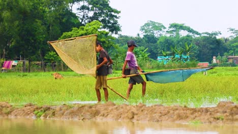 Traditionelle-Netzfischerei-Im-Feuchtgebiet-Bangladeschs,-Primitive-Fischerei