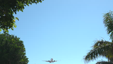 An-airplane-landing-at-an-airport-with-trees-framing-the-foreground