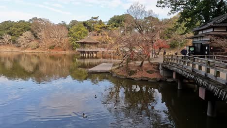 Otoño-En-Nara-Vista-En-El-Pabellón-Ukimodo-En-El-Estanque-Takabatakecho-En-Japón