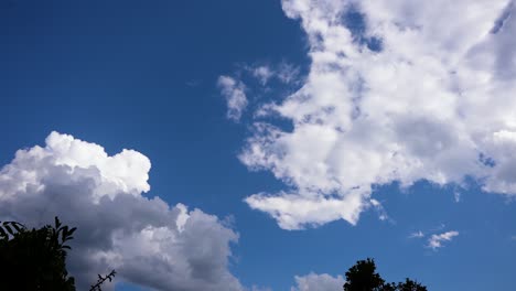 Wolken-Pov-Durch-Äste---Wolken-4k-Rollende-Geschwollene-Kumuluswolken-Entspannung,-Ob-Dramatische-Schönheit,-Atmosphäre,-Hintergrund