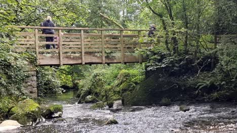 Healthy-lifestyle-active-family-walking-children-across-wooden-bridge-in-dense-green-woodland-nature-park