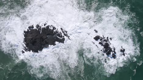Static-overhead-drone-shot-of-big-ocean-waves-crashing-on-coral-rock
