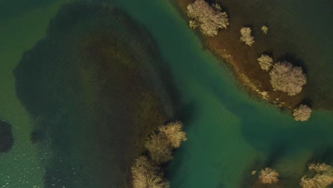 Lagoon-with-shallow-turquoise-water-on-shore-of-lake-of-Shkodra,-beautiful-nature-shapes-seen-from-above,-top-view
