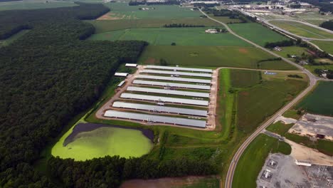 An-aerial-view-of-eight-parallel-farm-buildings-with-metal-roofs