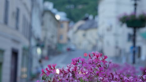 Close-up-of-Pink-Flowers-Decoration-in-a-historical-European-town-with-beautiful-old-buildings-during-a-blue-hour-at-dusk