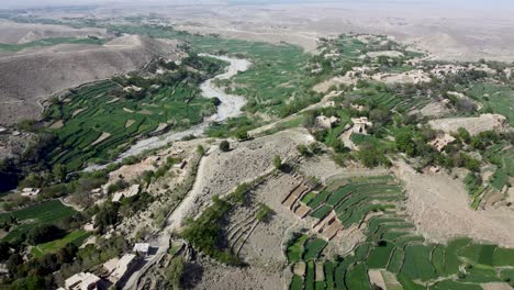 La-Belleza-Aérea-De-Los-Campos-De-Cultivo