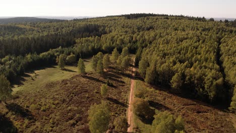 Drone-flight-over-Thuringian-forest-in-Germany-with-areas-cleared-due-to-bark-beetle