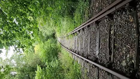 VERTICAL-Disused-abandoned-rusty-railroad-track-in-dense-woodland-foliage