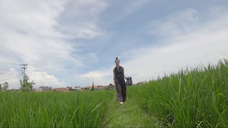 A-Woman-With-A-Camera-Is-Walking-On-A-Path-Through-Growing-Rice-Fields-Of-Bali,-Indonesia