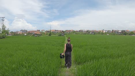 Aerial-View-Of-A-Woman-With-Camera-Is-Walking-Through-Green-Rice-Fields-In-Bali,-Indonesia