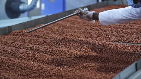 selective-focus,-scene-from-above,-operator-in-peanut-butter-factory-wearing-hand-close-rolling-raw-best-quality-peanuts-in-peanut-butter-factory-with-an-operator-heated-to-high-degree-celsius