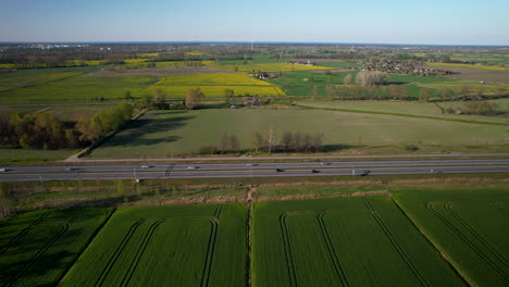 Early-season-dark-green-rapeseed-fields-off-rural-highway-in-countryside,-aerial-panoramic