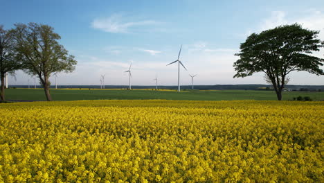 Windmills-Surrounded-By-A-Rapeseed-Field---aerial-pullback