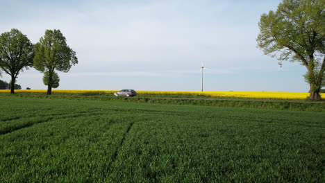 Vehicles-Driving-On-The-Asphalt-Road-Between-Flowering-Rapeseed-Fields---aerial-shot
