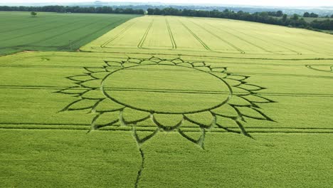 Flower-Crop-Circle-Design-Over-Fresh-Green-Fields-Near-Potterne,-Wiltshire-County,-England