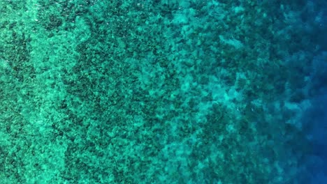Ocean-reef-gradient-from-fringing-to-deep-blue,-aerial-top-down-static