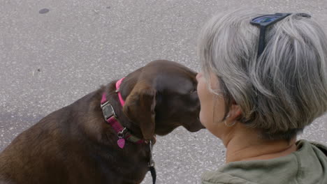 Old-Woman-With-Brown-Labrador-Sitting-On-The-Street