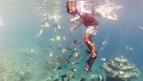 Snorkel-divers-surrounded-by-brightly-coloured-fish-at-the-under-water-temple-in-crystal-clear-sea-waters-of-Pulau-Menjangan-island,-Bali,-Indonesia