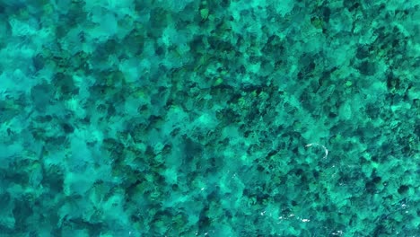 Aerial-ascend-rotate-above-clear-blue-ocean-water-with-coral-heads-below