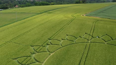 Kornkreisbildung-über-Einer-Riesigen-Maisfeldlandschaft-In-Der-Nähe-Von-Potterne-In-England
