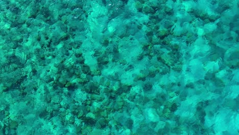 Drone-descends-above-rocky-coral-green-reef-heads-and-sandy-bottom